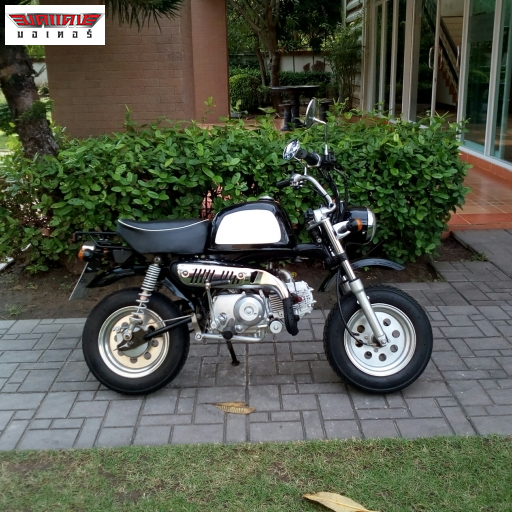 GORILA 125